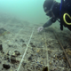 Illustration for article titled Discovery Of 8,000-Year-Old Wheat Could Rewrite Ancient British History